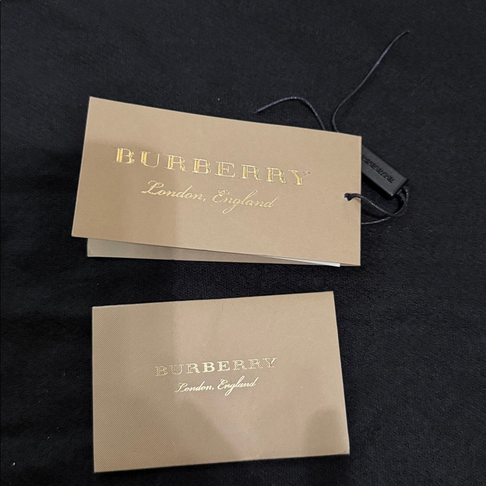 Burberry Dusty Pink Leather Crossbody Bag Gold Hardware - Picture 13 of 15